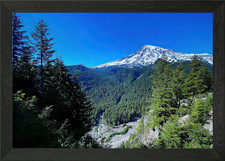 Listing image for Mount Rainier Framed Wall Art Poster Canvas Print Picture